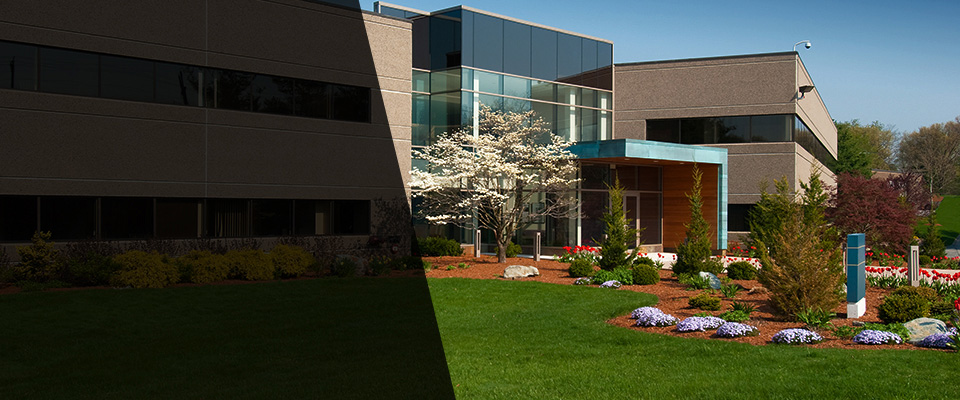 Murphy Landscapers