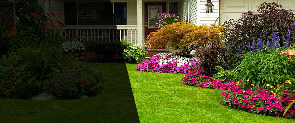 Murphy Landscapers