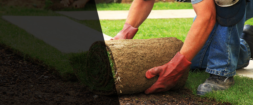 Murphy Landscapers